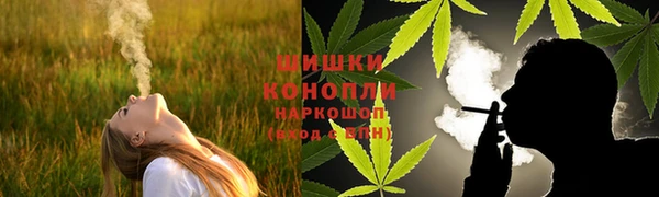 хмурый Дмитриев