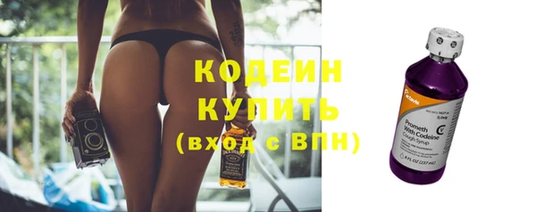 хмурый Дмитриев