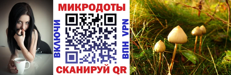 Купить где  Усолье-Сибирское  Псилоцибиновые грибы мухоморы 